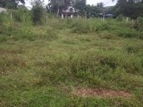 Land for Sale in Poruwadanda - Horana