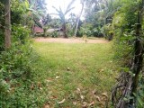 Valuable Land for sale