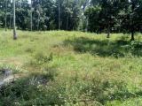 Land for sale at Kiriwaula