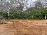 Land near Dodangoda Highway Exit for Sale