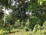 Land for sale in gonapinuwala