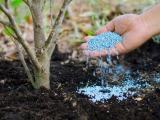 නිල් කැට පොහොර - Blue granular fertilizer