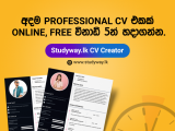 Professional CV එකක් Online, Free හදාගන්න