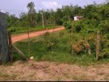 Land Sale In Piliyandala