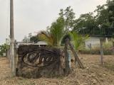 Residential Land for sale in Bandaragama Kindelpitiya Welmilla junction