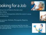 Looking for Job - Babysitting/Housekeeping/Caretaker