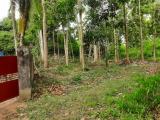 Residential land in Narammala for sale.