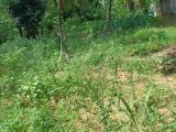 Land for Sale in Horana