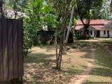 House with 43 perch land is for rent in Bandaragama :Also  Suitable for business purpose, Restaurant, Wedding Reception Place, Ayurvedic Center etc.