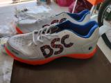 DSC cricket shoe