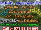 Horana, 50 P cultivated land for sale face to carpet road