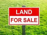Land for sale in Galewela