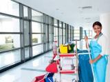 Commercial / Residential Cleaning service