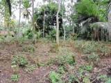 Land for Sale in Galle, Walahanduwa / ගාල්ල, වලහන්දූවේ ඉඩමක් විකිණීමට