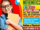 Mathematics 6-11 English medium