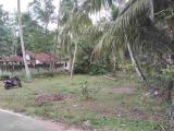 Land for sale Katana (8.5 KM from Negombo)