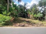 Land Block for Sale in Andiambalama, Katunayake.
