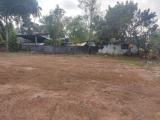 Land for Sale in Mahabellana, Bandaragama
