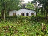 100P Land for Sale in Hulangamuwa Matale