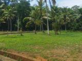 Land for sale in Divulapitiya