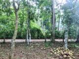 16.5 Perch Residential Land for Sale – Yatiyana, Katunayake.