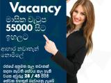 Job Vacancy