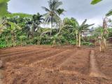 Valuable Land Property for Sale in Pitipana, Homagama.