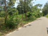 අගනා ඉඩමක් විකිණීමට