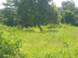 40 Perch Commercial cum Residential Land for Sale in Kandana – Peralanda