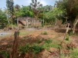 මැදවච්චිය නගරයෙන් ඉඩමක් විකිණීමට  Land for Sale in Medawachchiya !!!