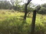 පණ්ඩුලගම නගරයෙන් අගනා ඉඩමක් විකිණීමට!!! Land for Sale in Pandulagama Town!!!