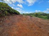 34 Acres Prime Land for Sale Kalutara.