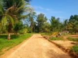 12 residential and commercial plots for immediate sale in Embilipitiya town.
