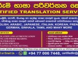 TRANSLATION OF DOCUMENTS FROM AND INTO MANY LANGUAGES ONLINE