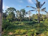 Commercial cum Residential Land in Ambanwita, Gampaha.