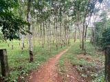 Valuable Rubber Plantation Land for Immediate Sale in Waga.