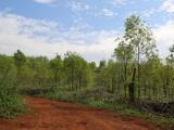 Land For Sale in Matale