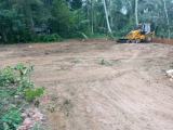 Land For Sale In Moragahahena
