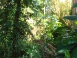 Prime Residential Land for Sale in Dehiwala