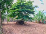 12 Perches Highly Residential Land for Sale in Kirillawala, Kadawatha.