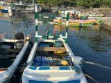 Boat For Sale