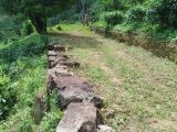 Land for Sale – Dedugala (16.5 Acres)