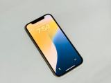 Apple Other Model  (Used)